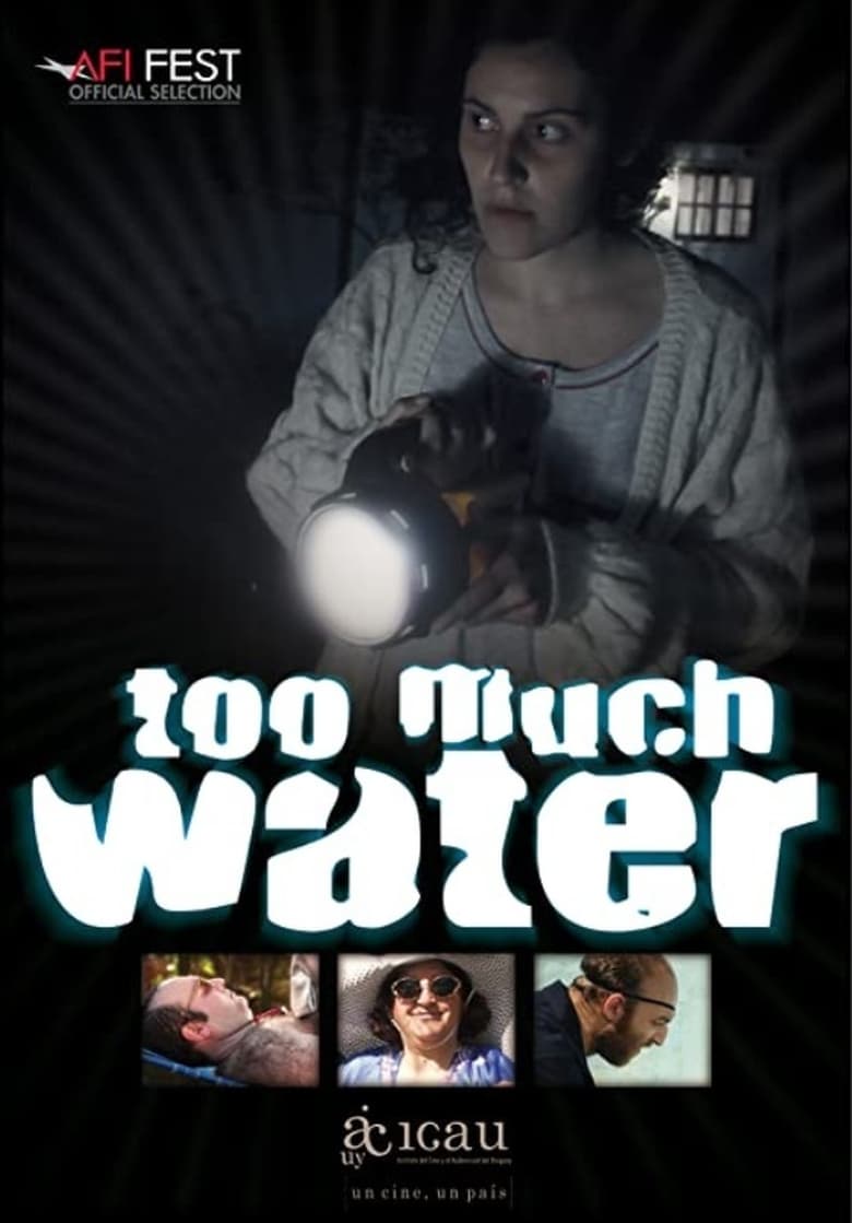 Poster of Too Much Water