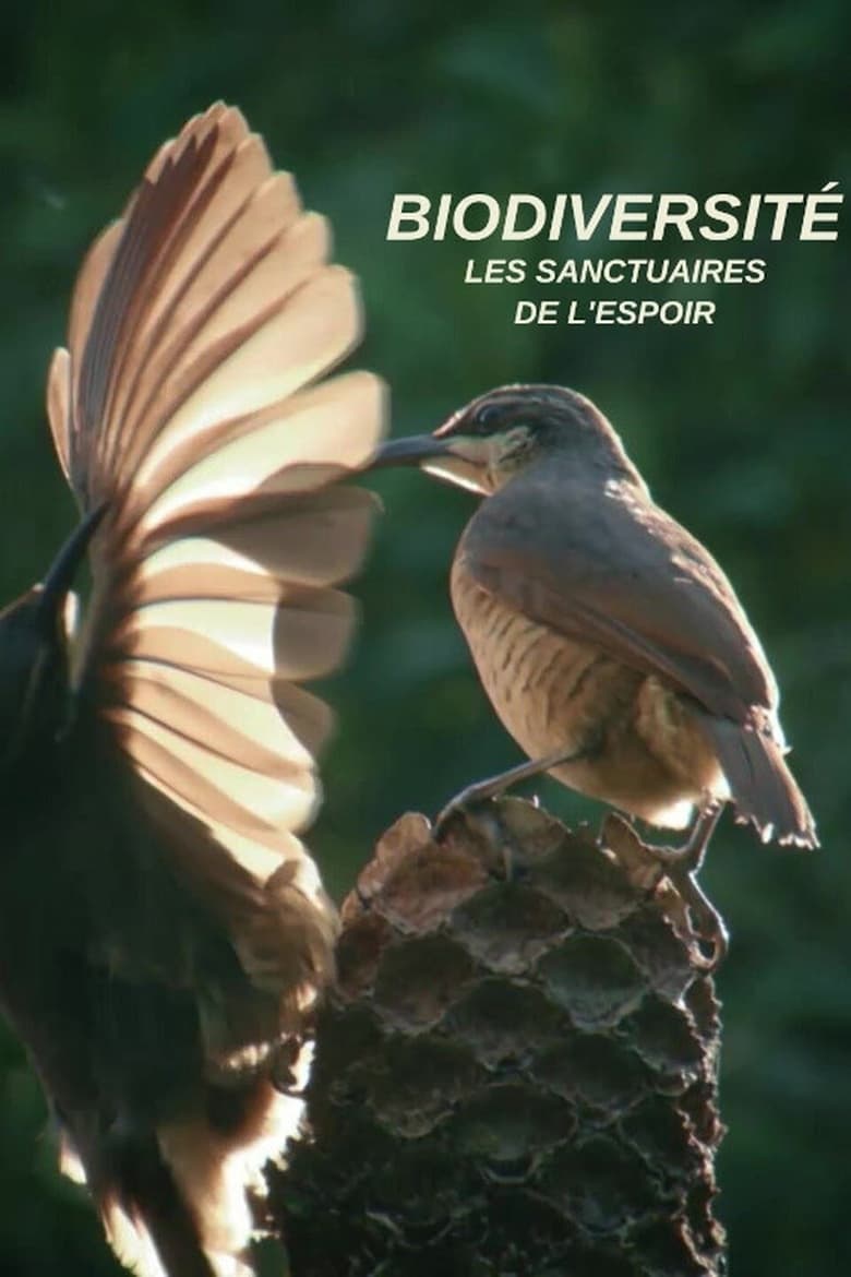 Poster of Biodiversité : les sanctuaires de l'espoir