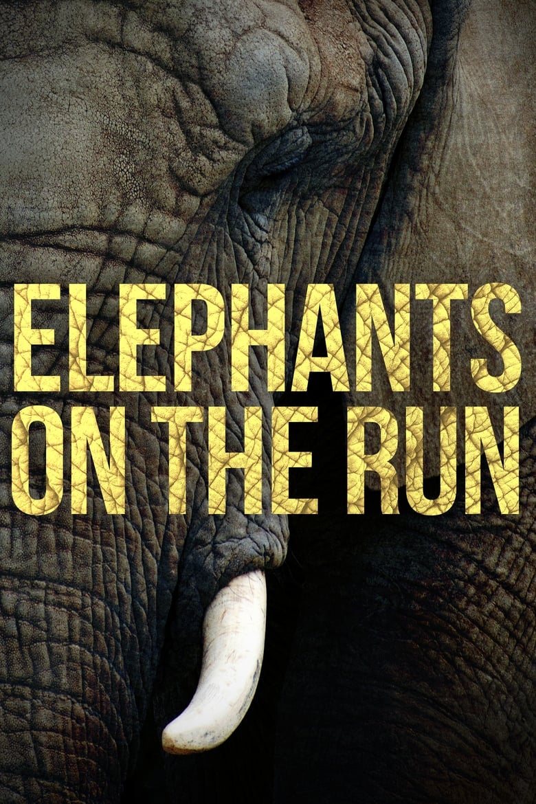 Poster of Elephants on the Run