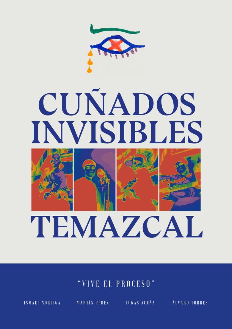 Poster of Temazcal, el documental