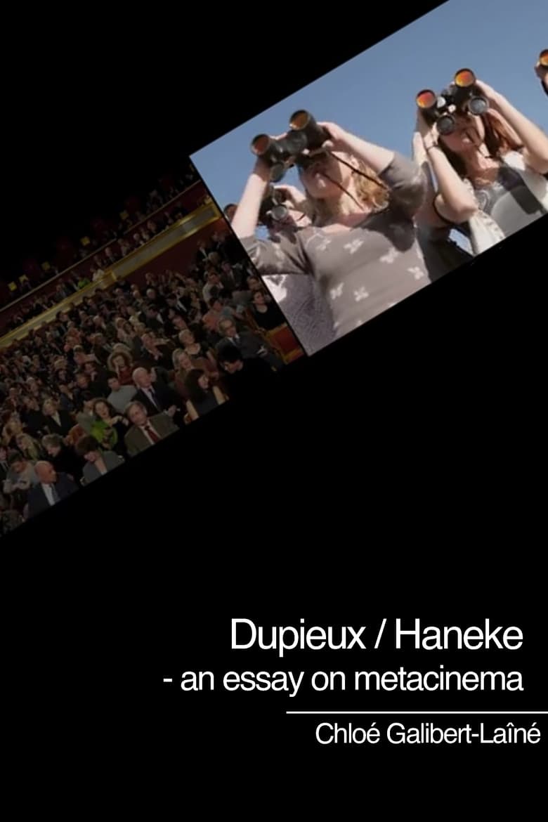 Poster of Dupieux / Haneke - an essay on metacinema