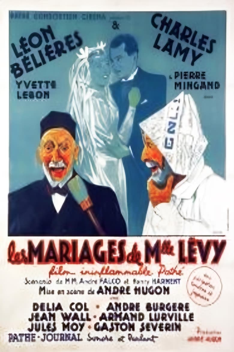 Poster of The Marriages of Mademoiselle Levy