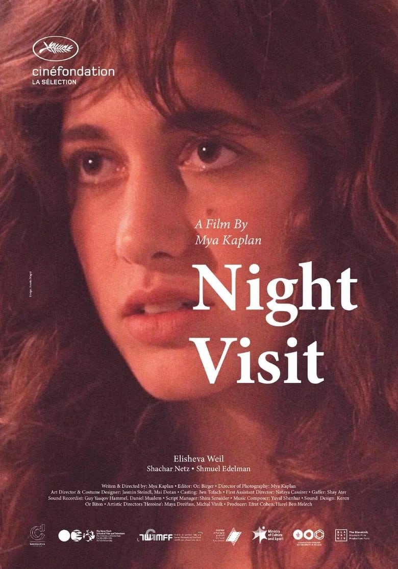 Poster of Night Visit