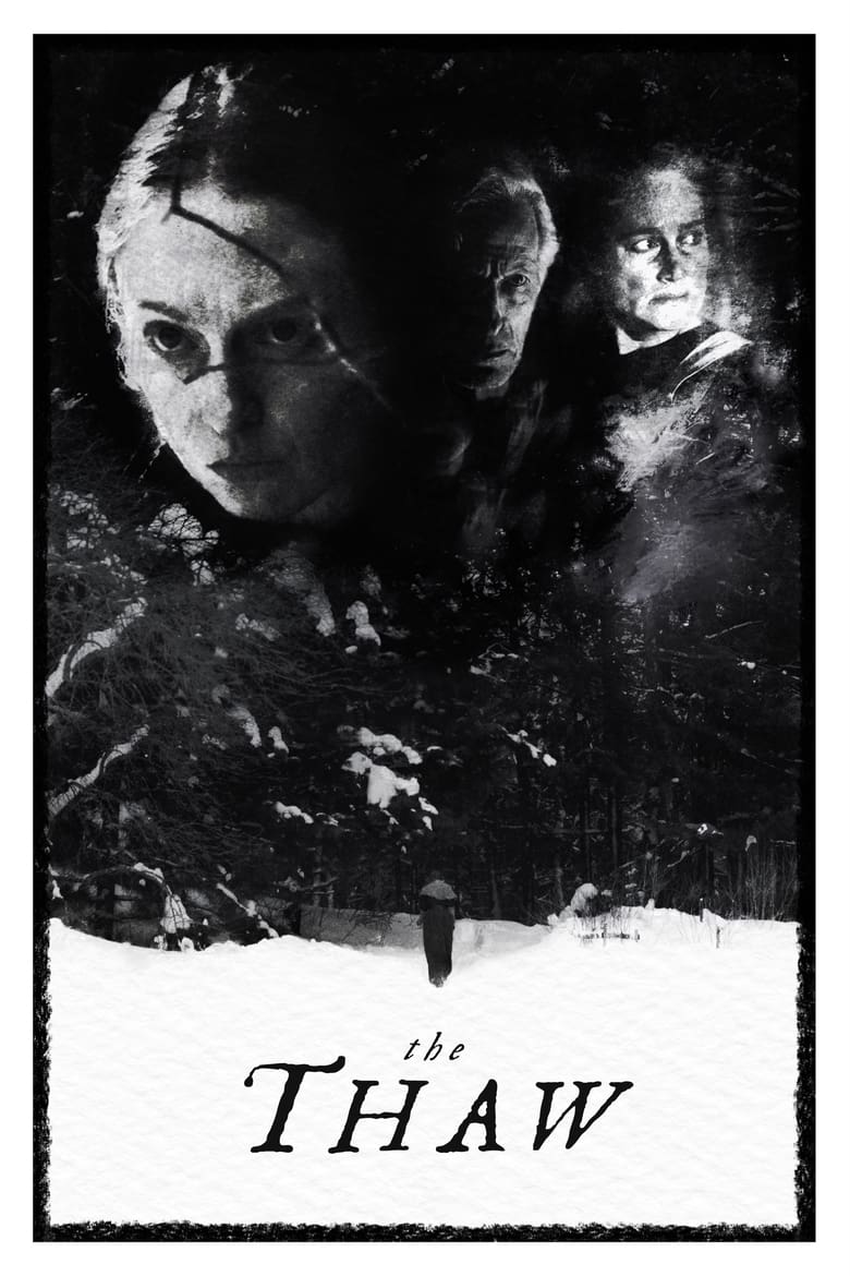 Poster of The Thaw