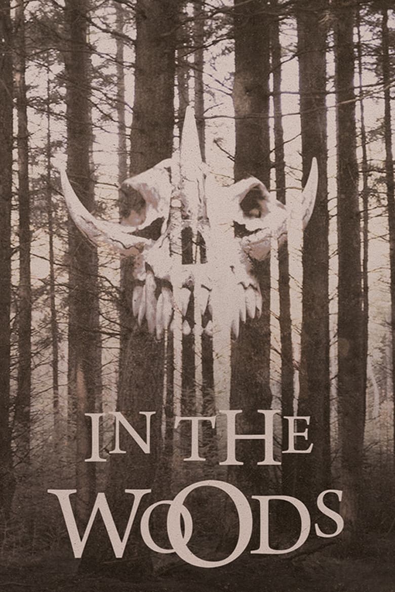 Poster of In the Woods