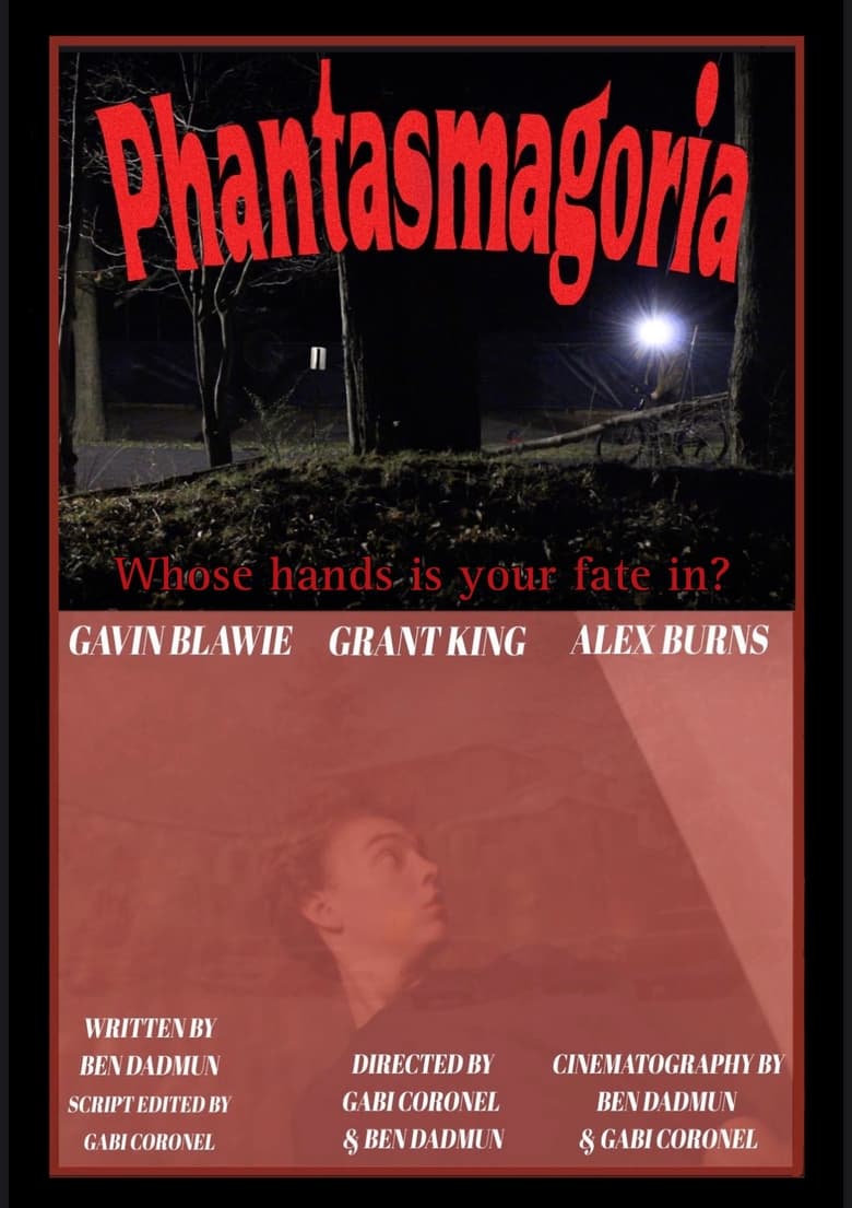 Poster of Phantasmagoria