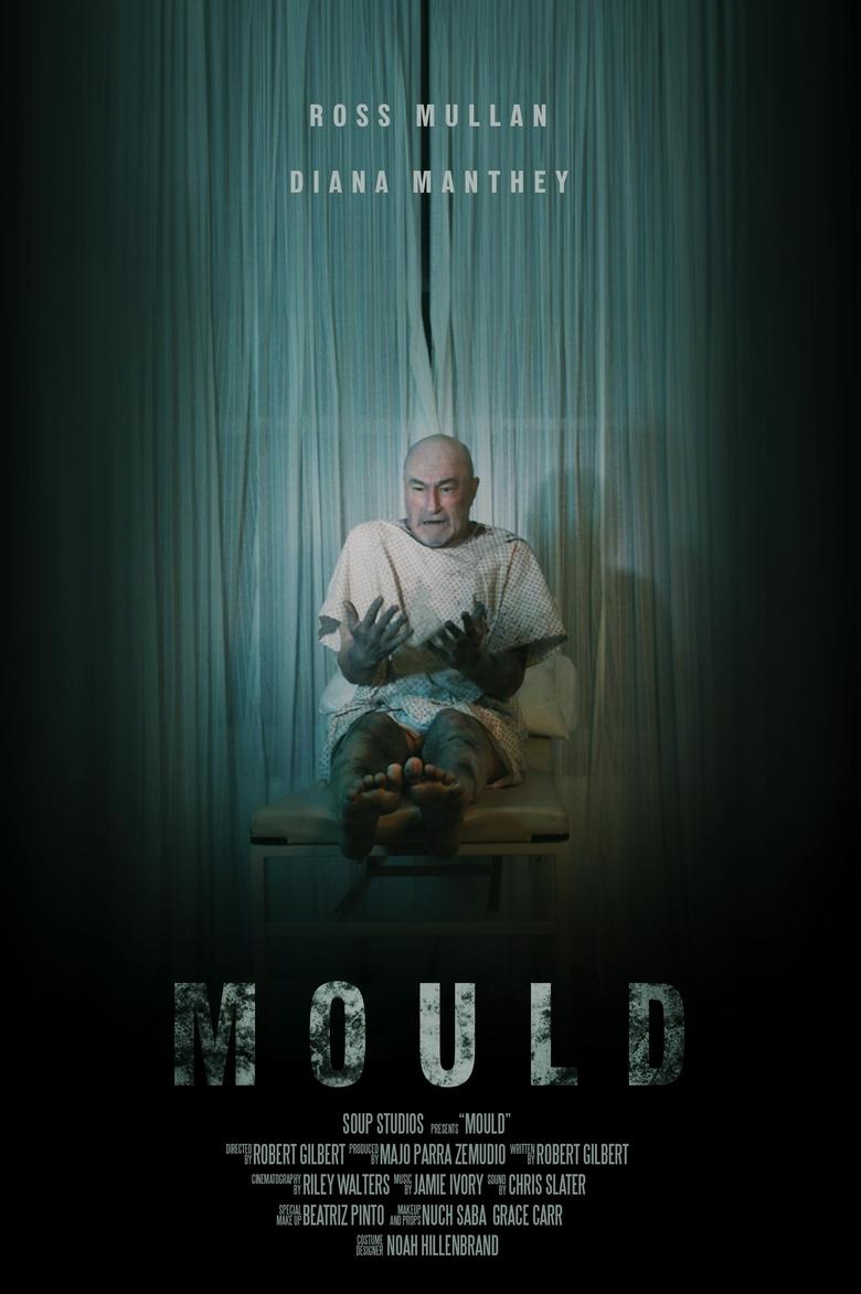 Poster of Mould