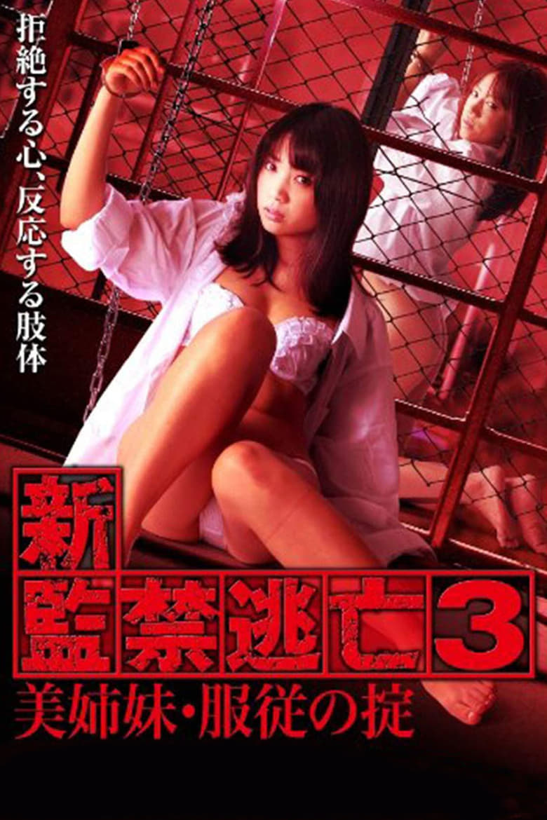 Poster of Escape Captivity 3: The Beautiful Sisters' Law of Submission