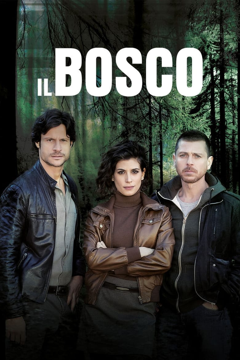 Poster of Il Bosco