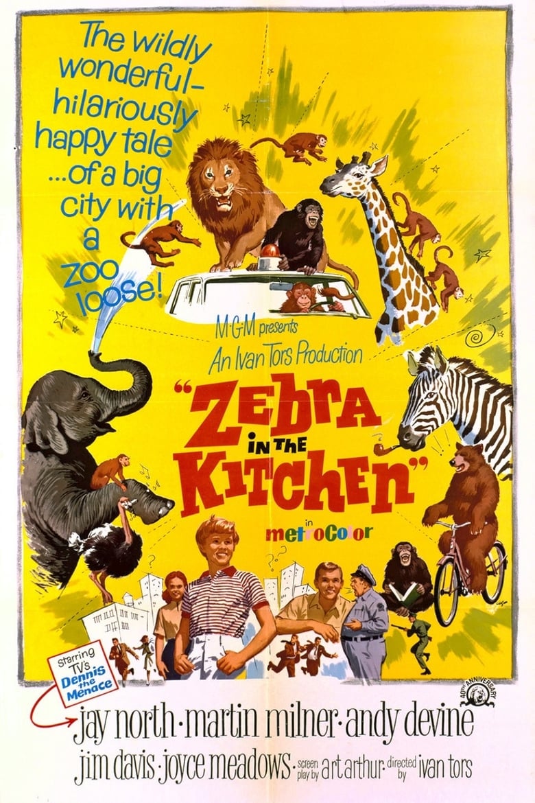 Poster of Zebra in the Kitchen