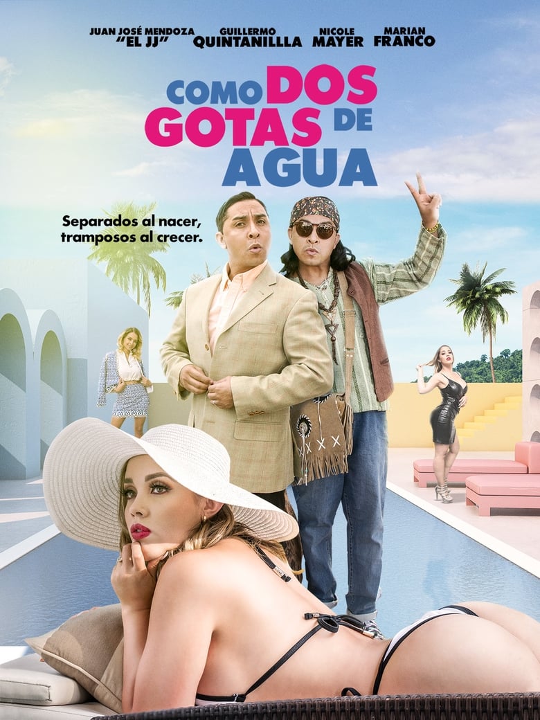 Poster of Como dos gotas de agua