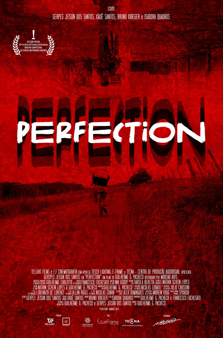 Poster of Perfection