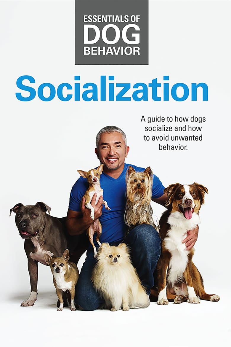 Poster of Essentials of Dog Behavior: Socialization