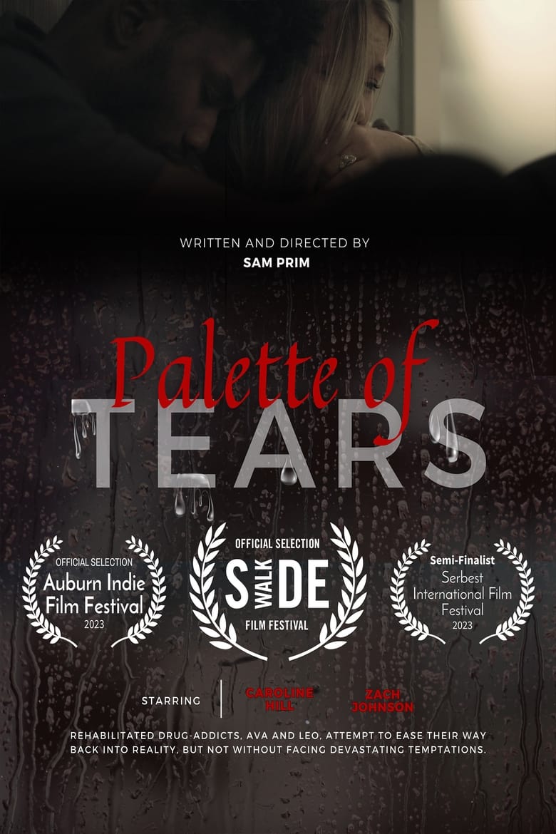 Poster of Palette of Tears