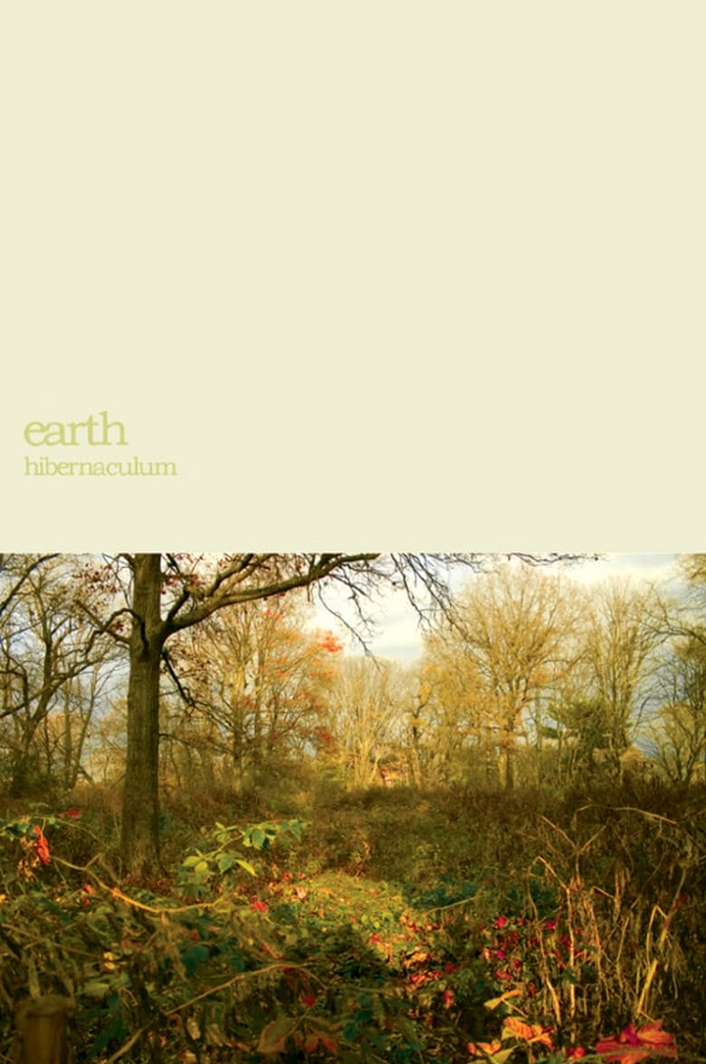 Poster of Earth: Within the Drone