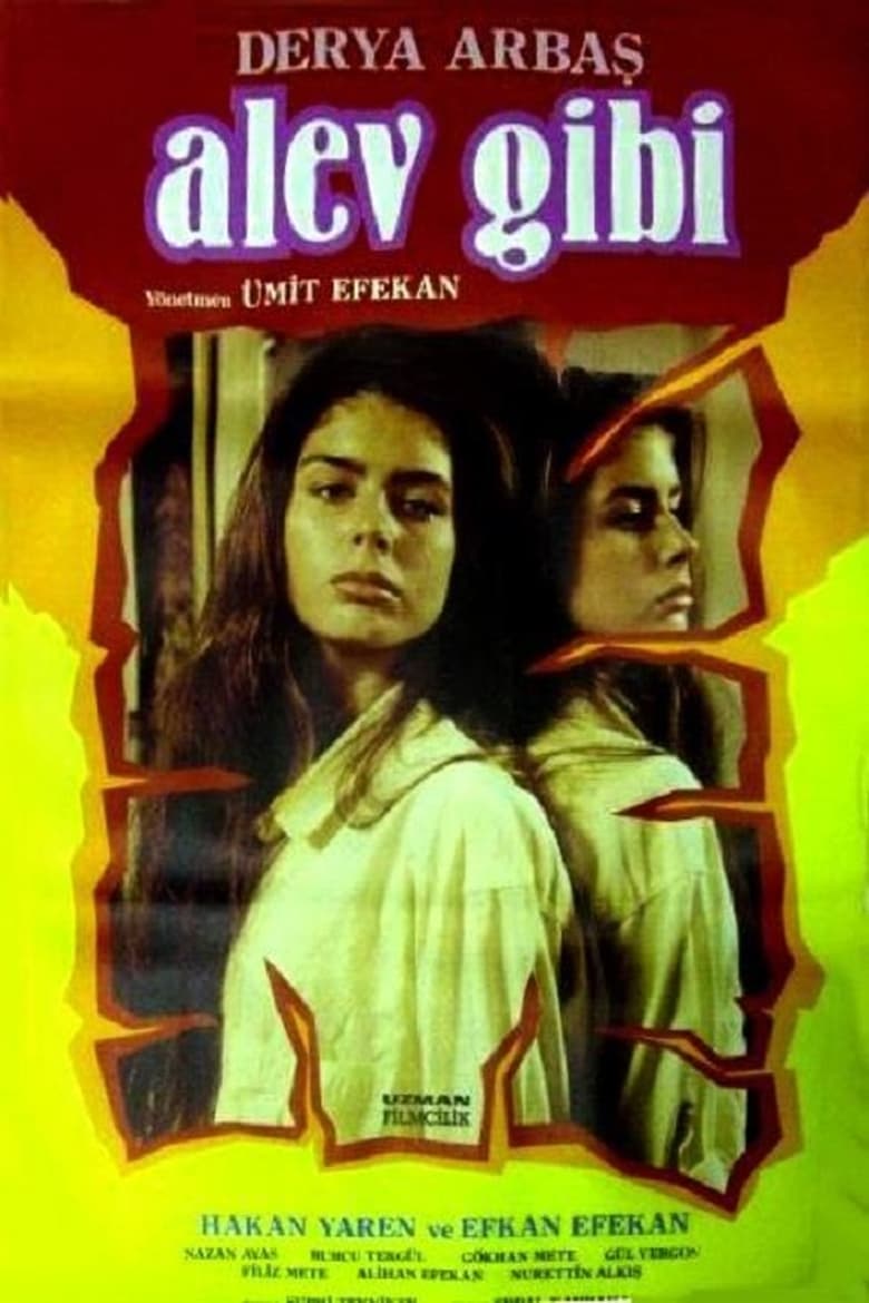 Poster of Alev Gibi