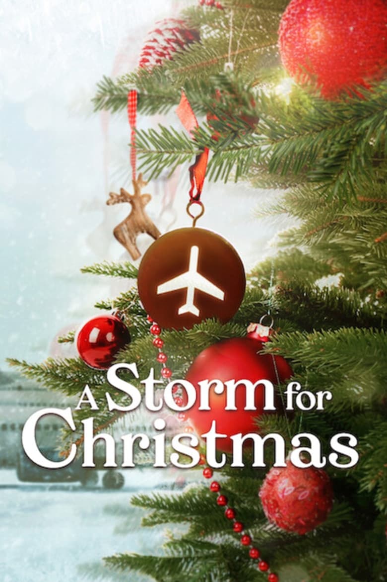 Poster of A Storm for Christmas