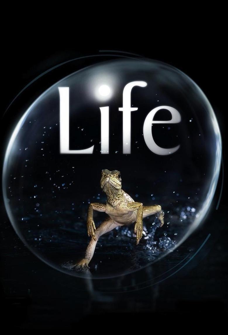 Poster of Episodes in Life - Season 1 - Season 1