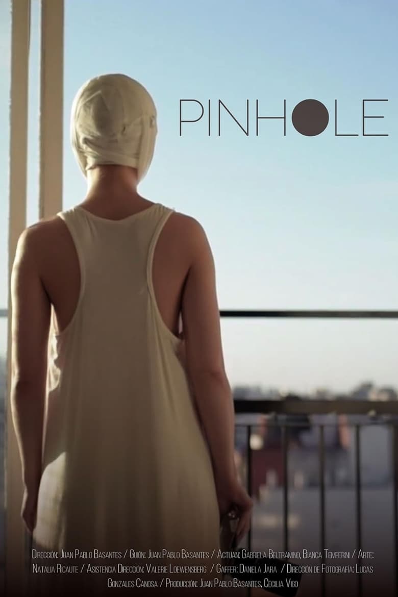 Poster of Pinhole