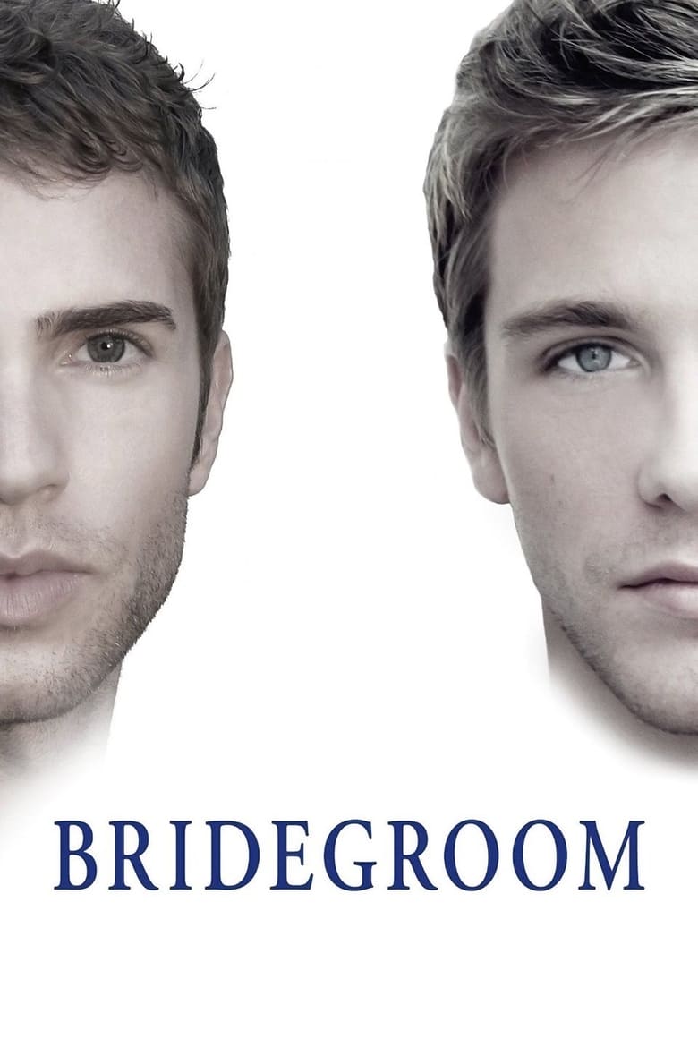 Poster of Bridegroom