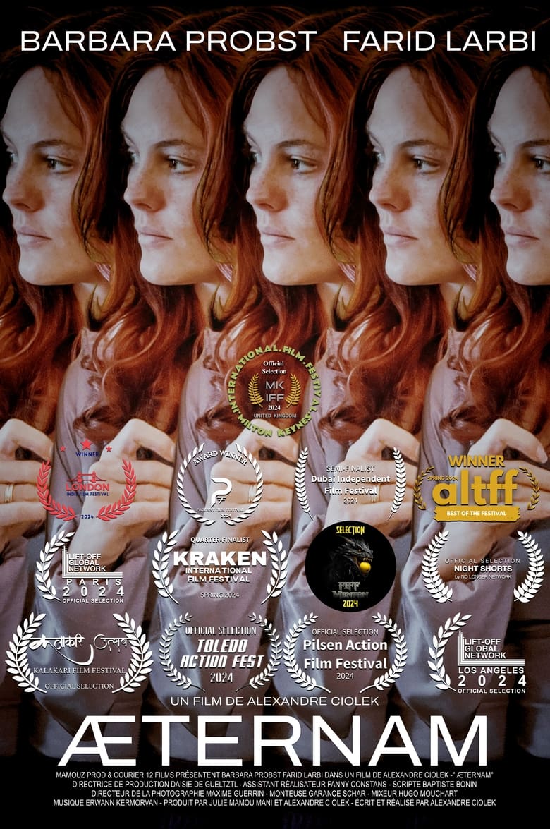 Poster of ÆTERNAM