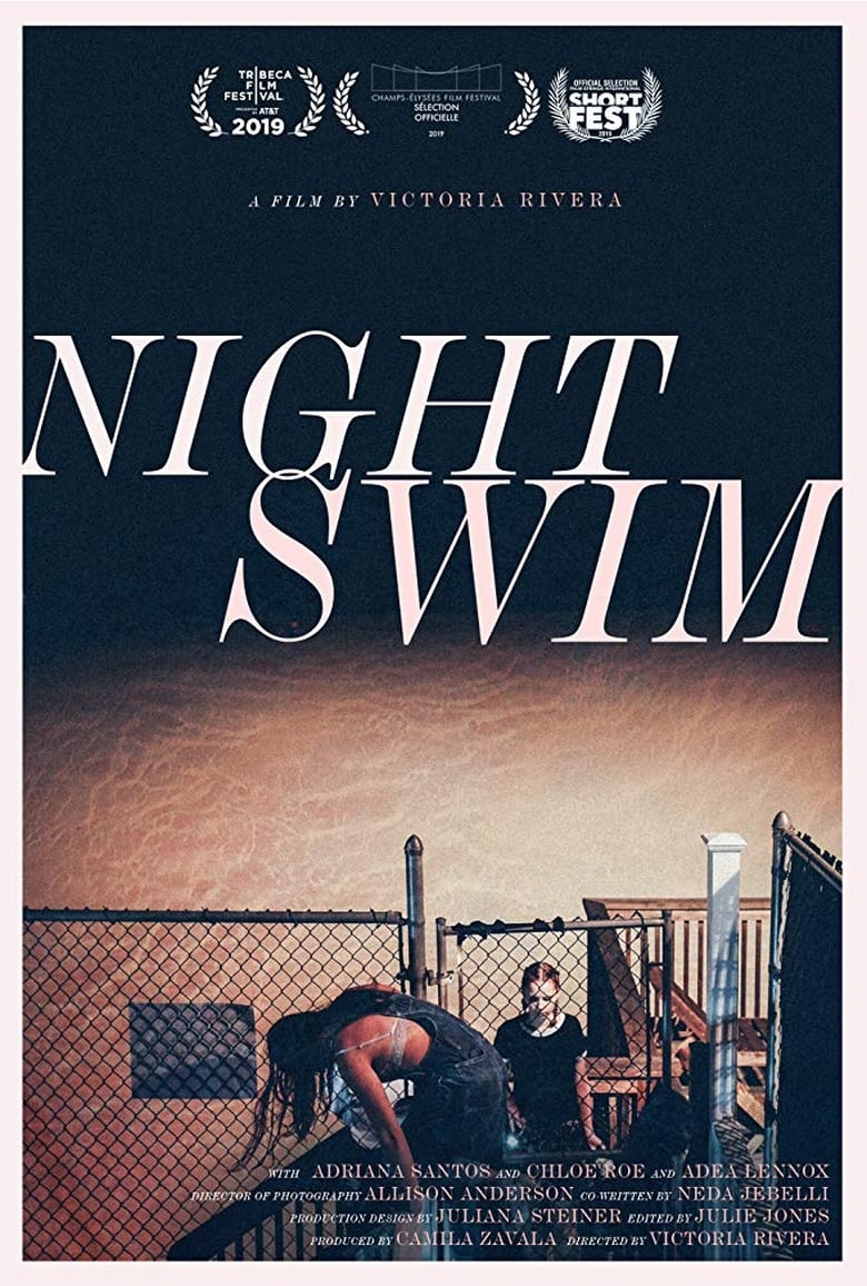 Poster of Night Swim