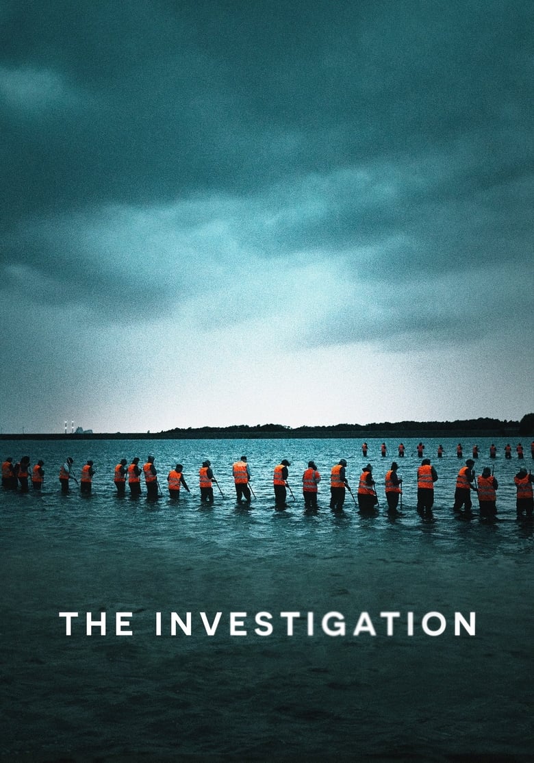 Poster of The Investigation