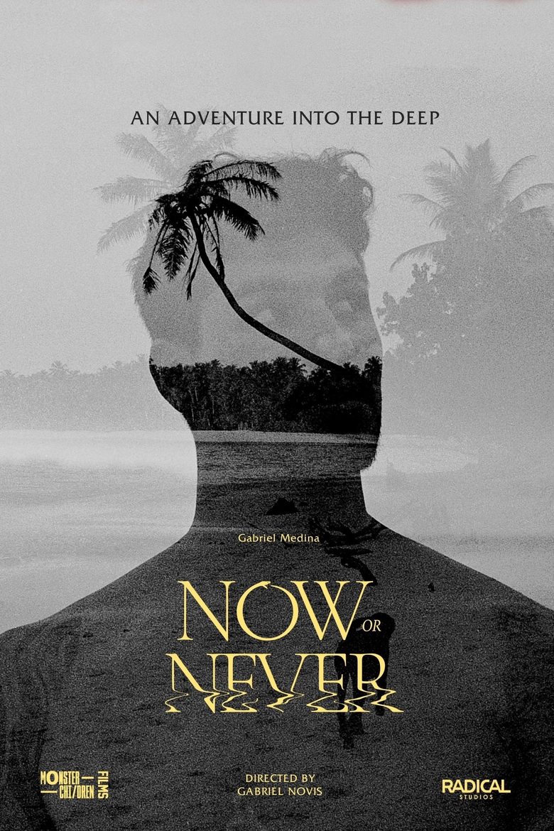 Poster of Now or Never