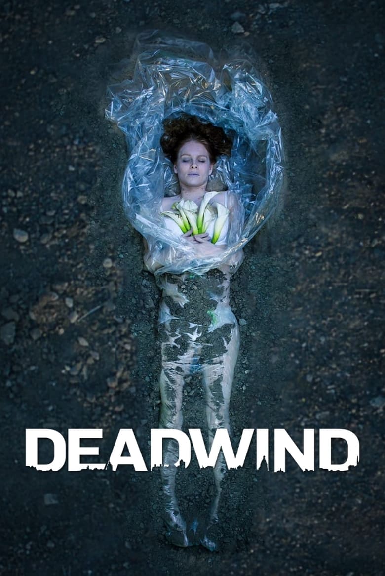 Poster of Episodes in Deadwind - Season 3 - Season 3