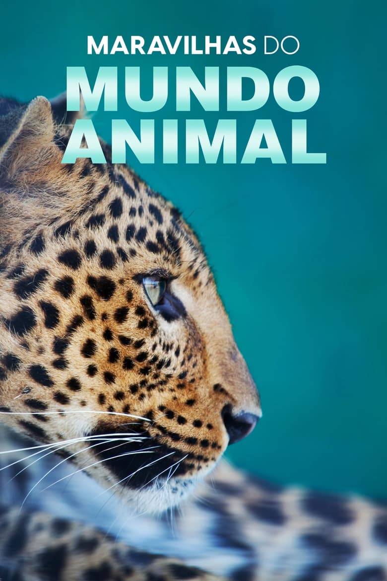 Poster of The Wonder Of Animals - Season 1 - Episode 3 - Big Cats