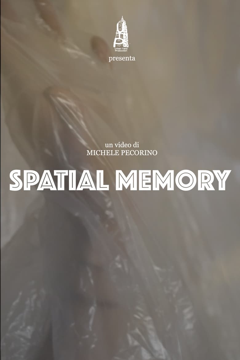 Poster of Spatial Memory