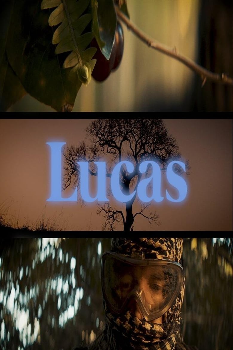 Poster of Lucas