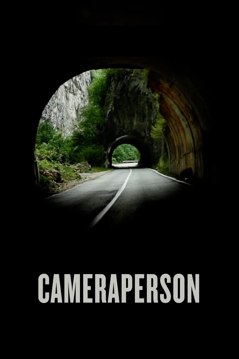 Poster of Cameraperson