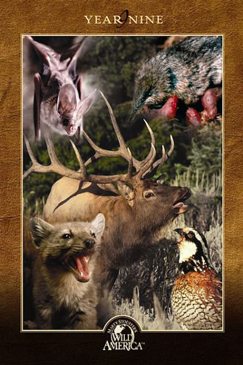 Poster of Episodes in Marty Stouffer's Wild America - Season 9 - Season 9