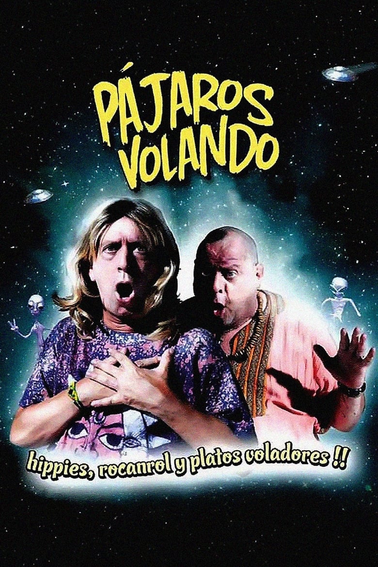 Poster of Pájaros volando