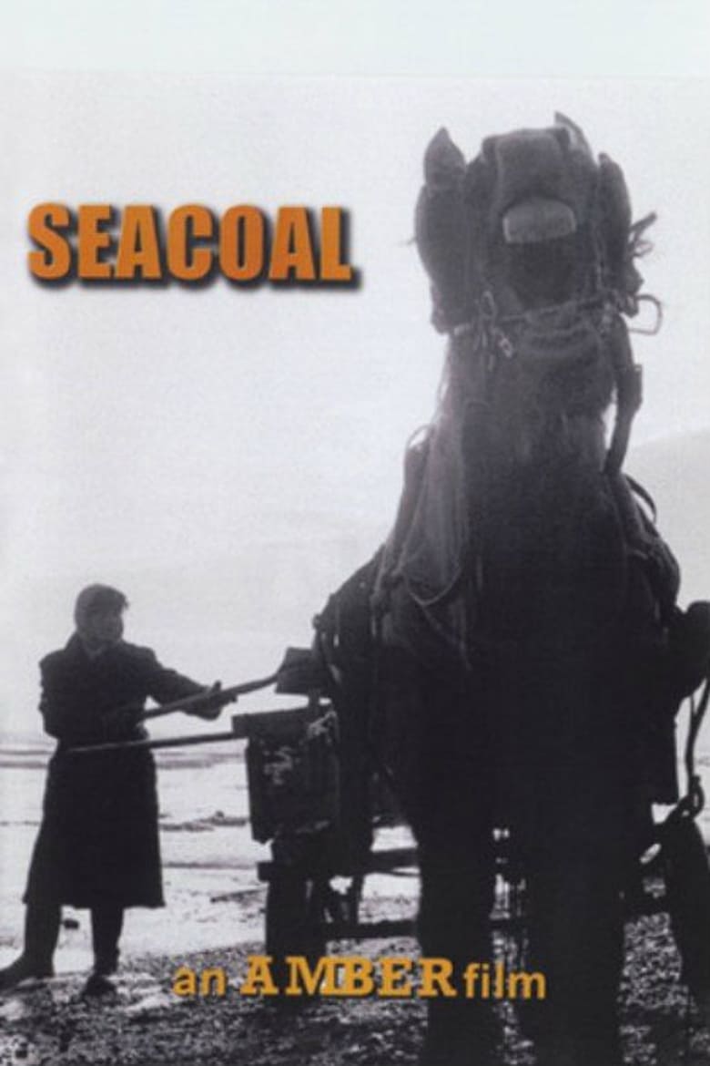 Poster of Seacoal