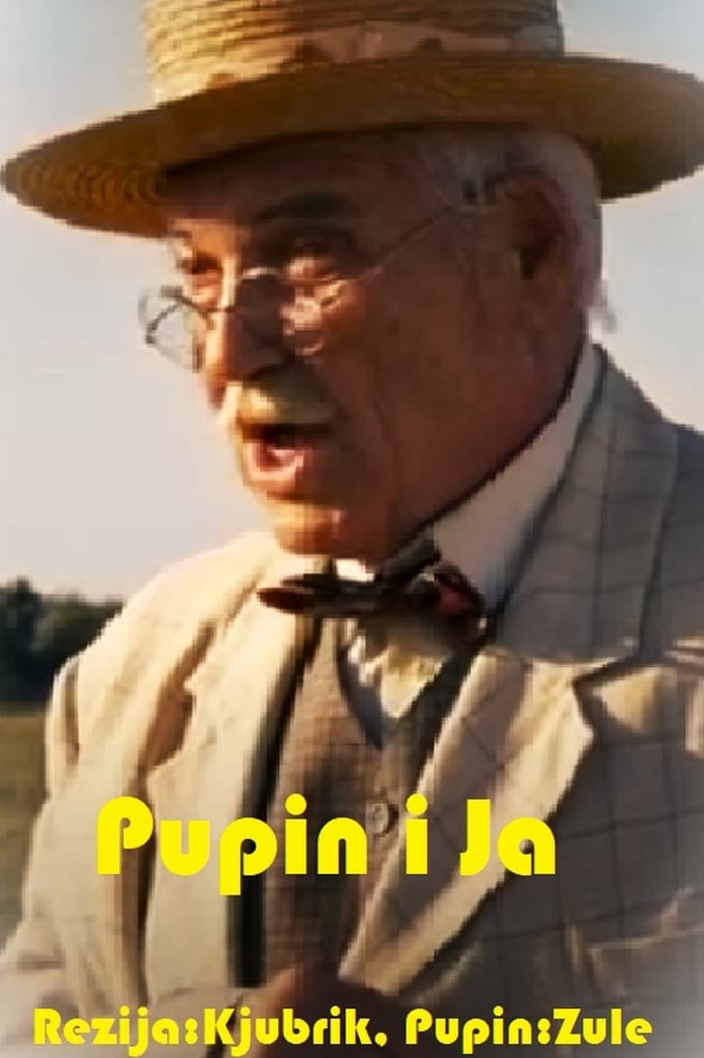 Poster of Pupin i ja