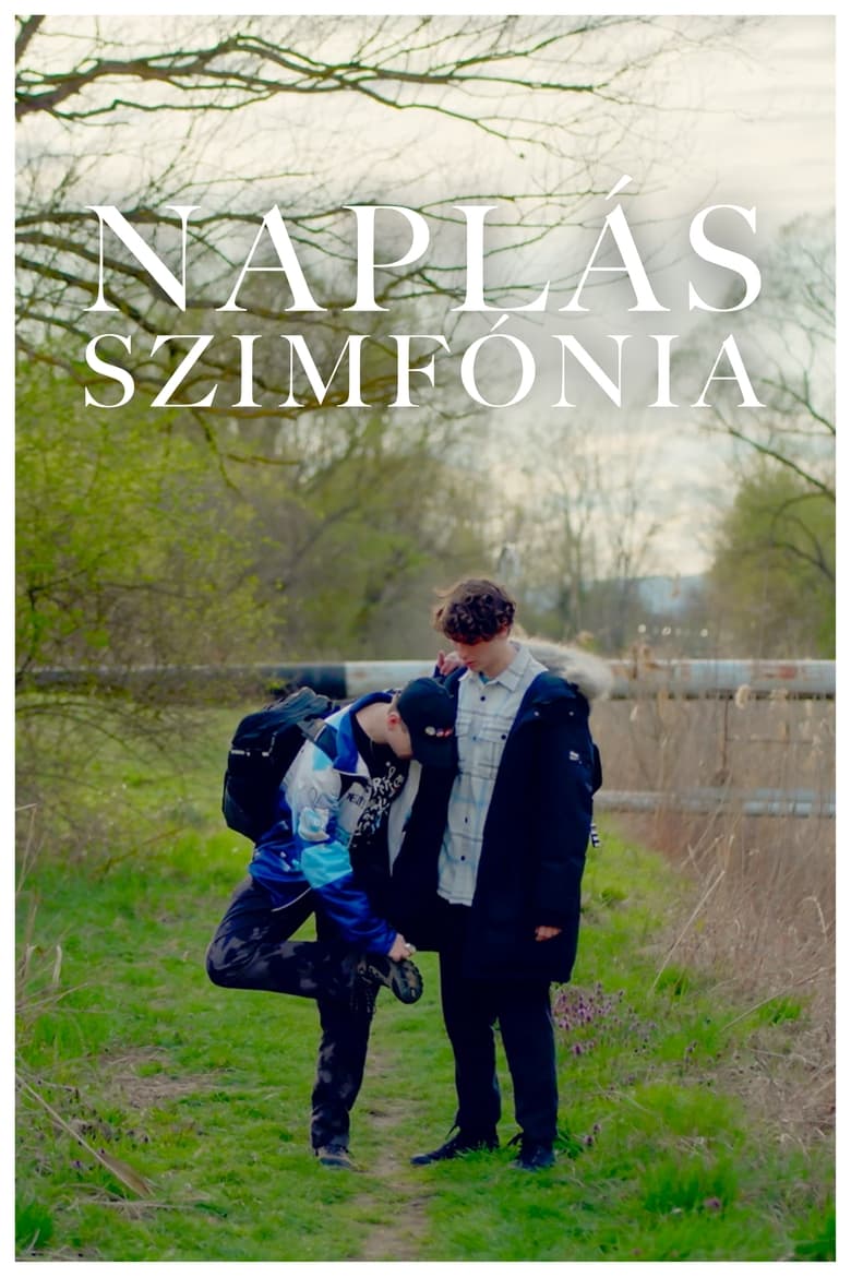 Poster of Naplás Szimfónia