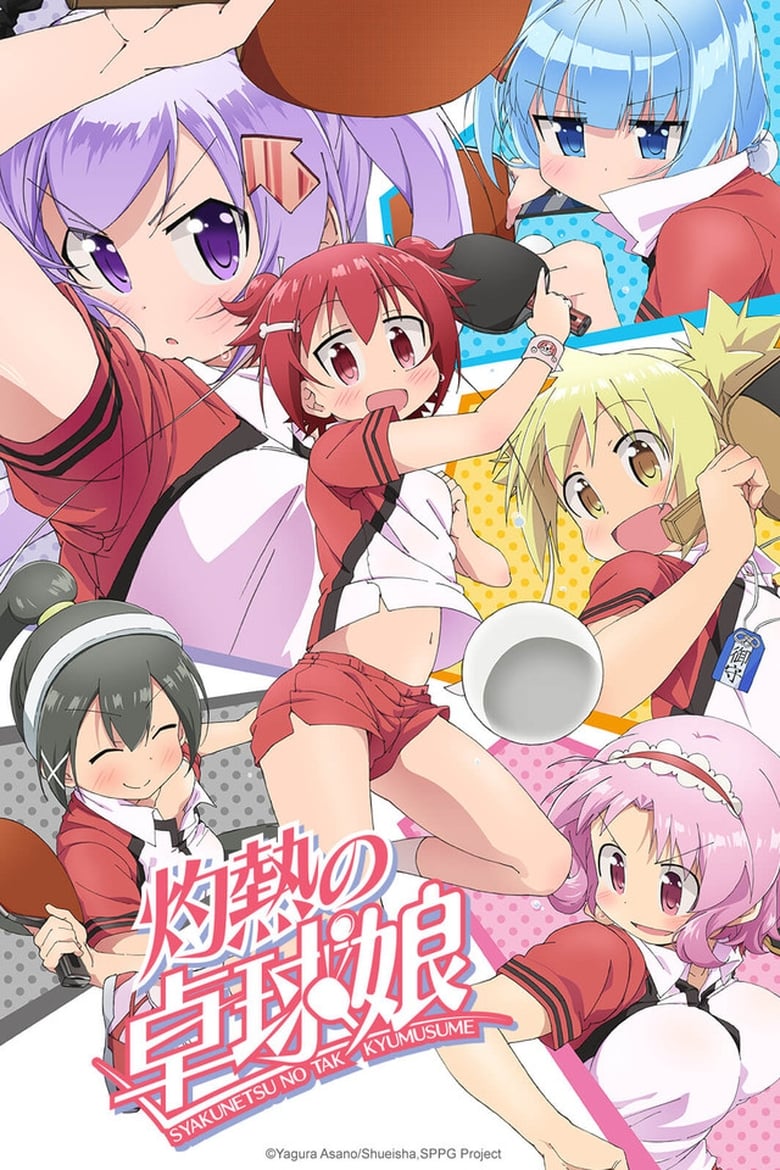 Poster of Scorching Ping Pong Girls