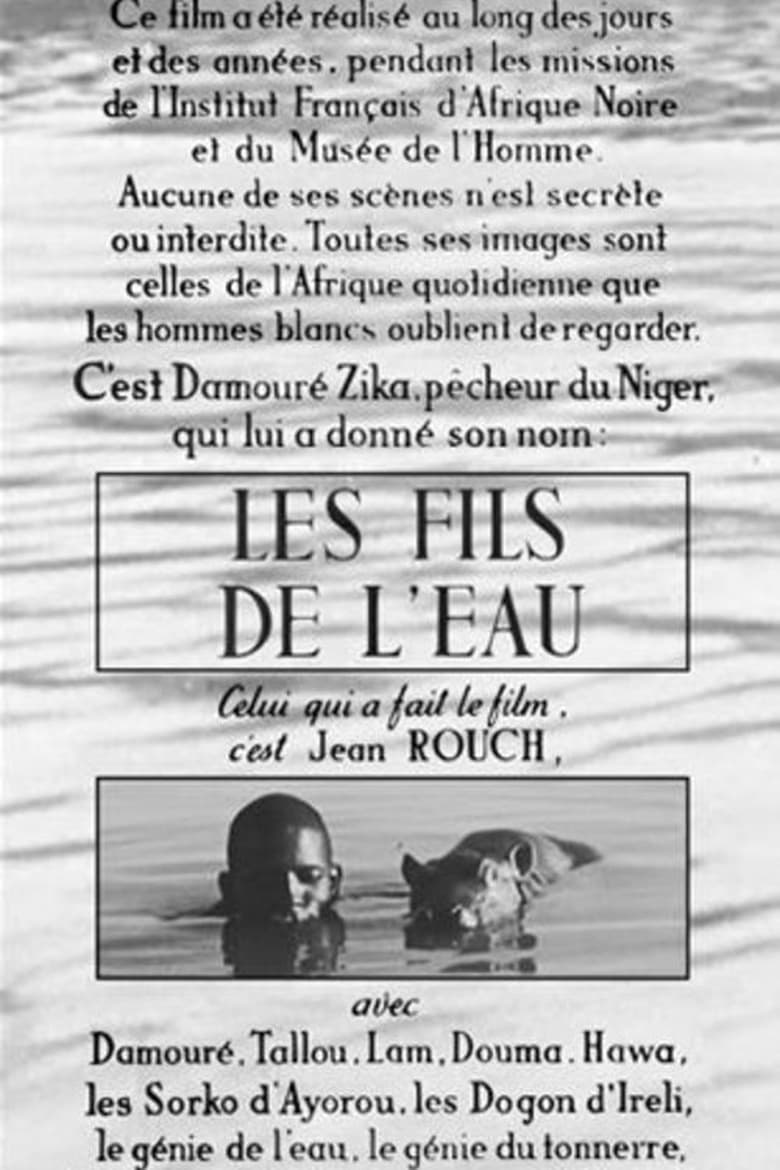 Poster of Les Fils de l'eau