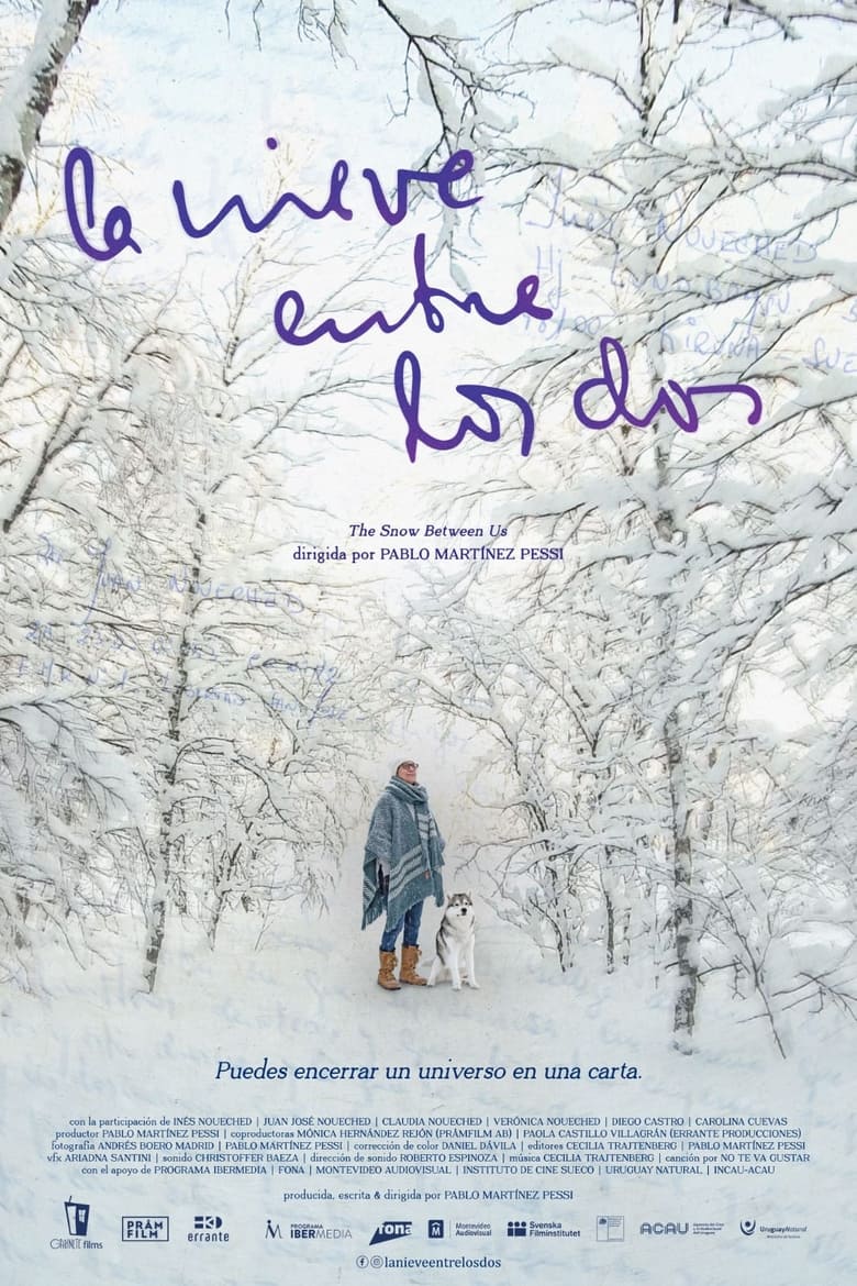 Poster of The Snow Between Us