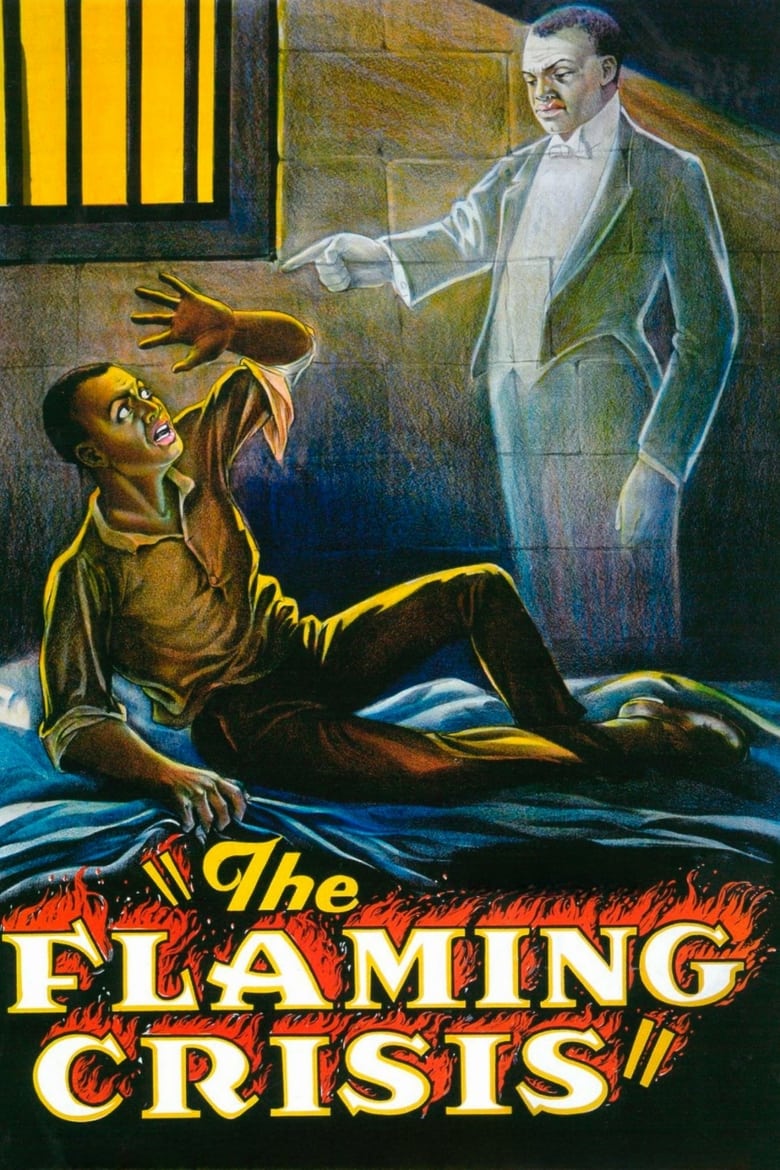 Poster of The Flaming Crisis