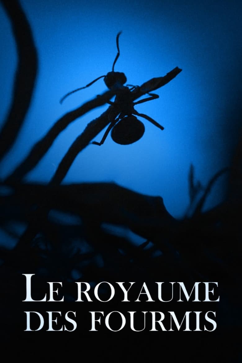 Poster of Le Royaume des fourmis