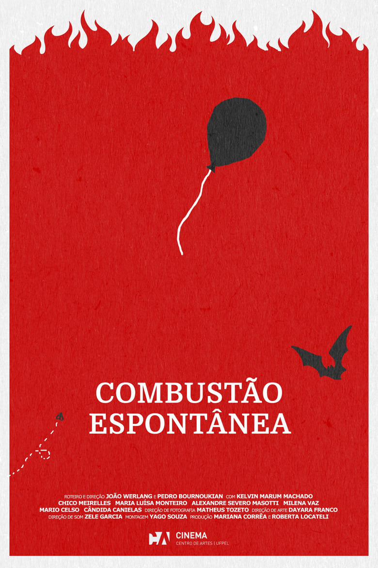 Poster of Combustão Espontânea