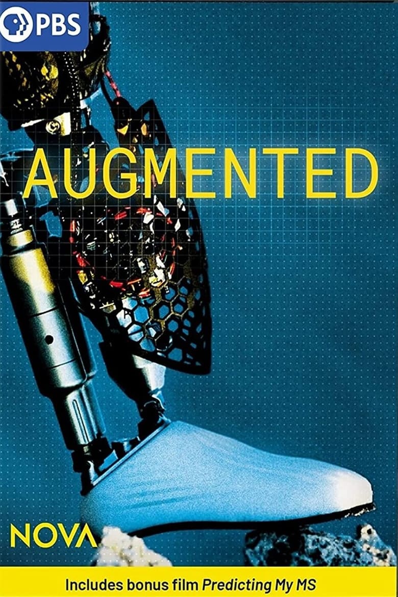 Poster of Augmented