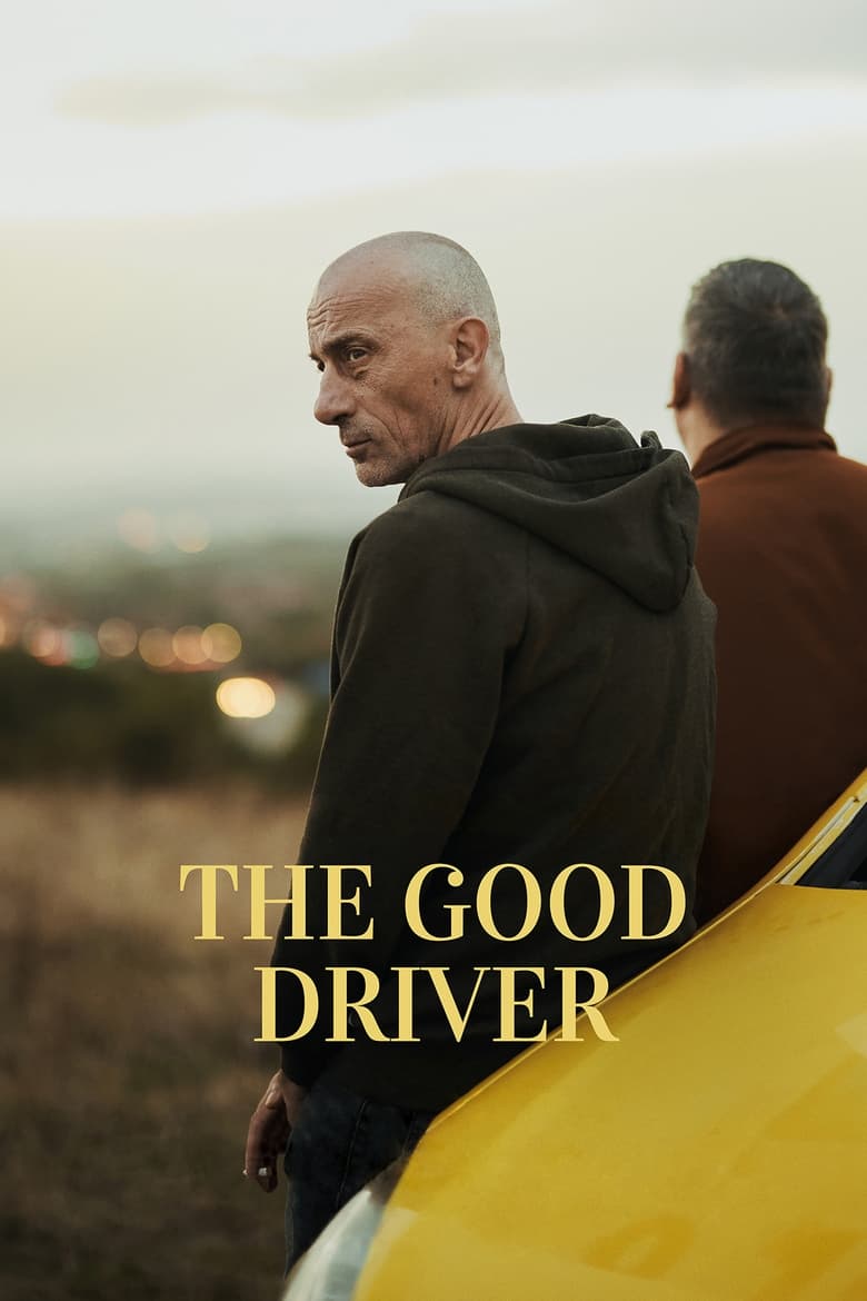 Poster of The Good Driver