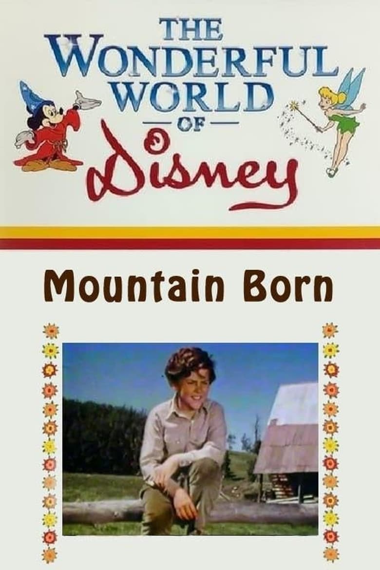 Poster of Mountain Born