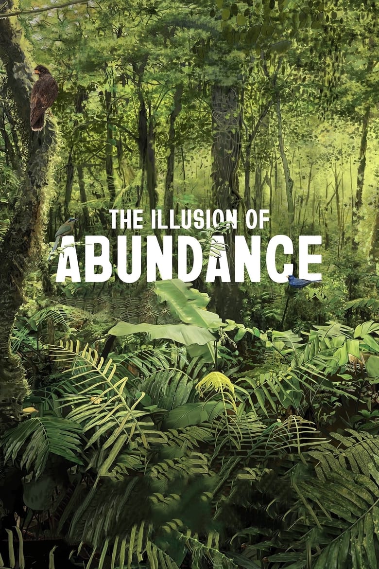 Poster of The Illusion of Abundance