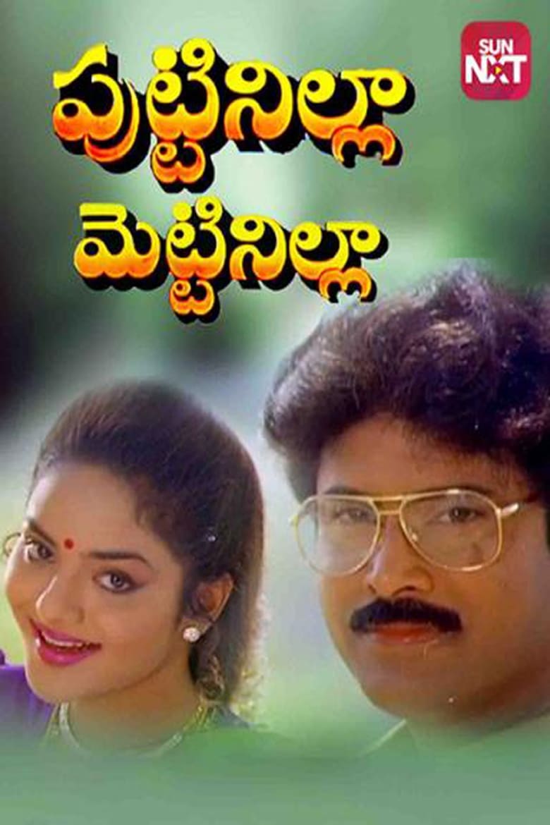 Poster of Puttinilla Mettinilla