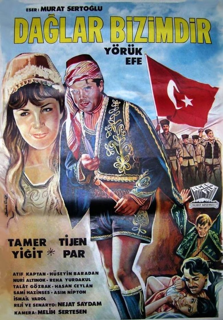 Poster of Dağlar Bizimdir